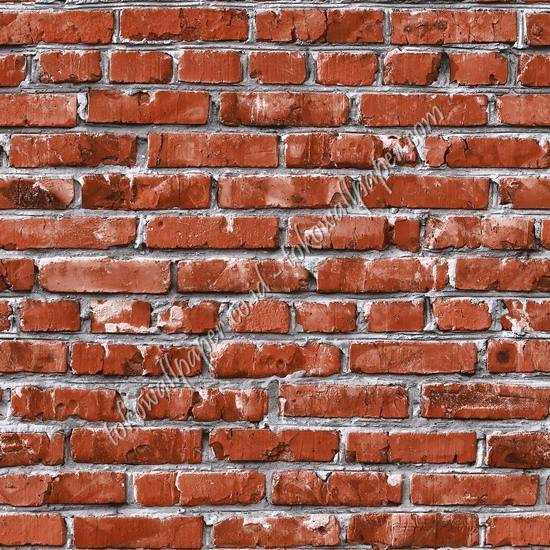 TERRA TRA652
Wallpaper